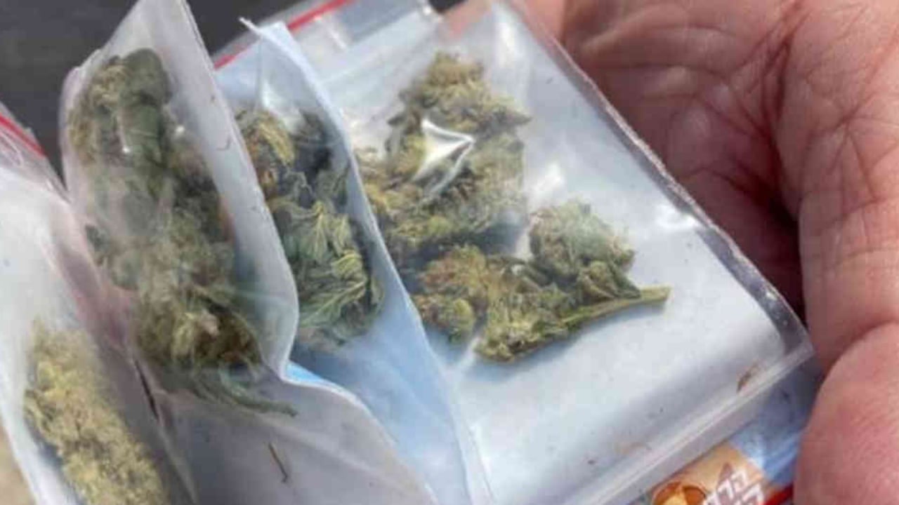 ¿Por qué se hundió el proyecto que buscaba legalizar el consumo recreativo de la marihuana?