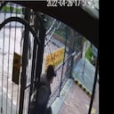 Captura de pantalla del video compartido por Diva Jessurum.