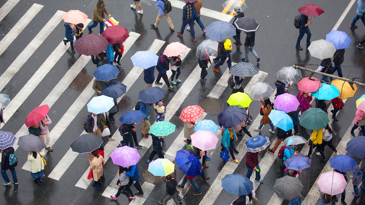 En febrero lloverá en estas regiones.