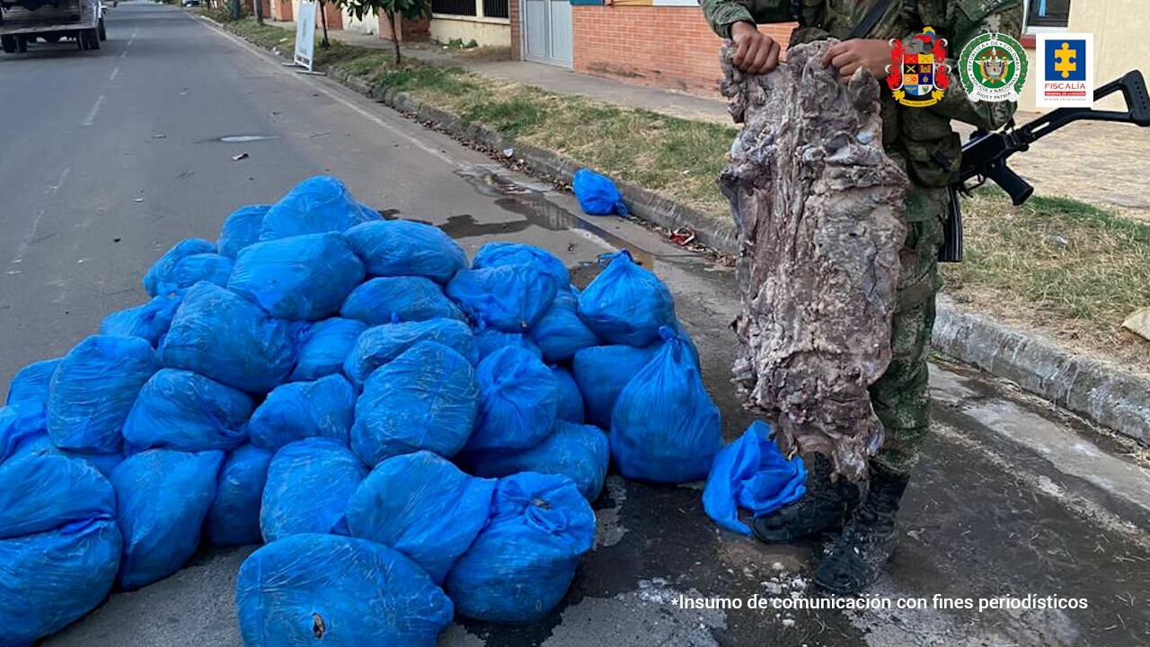 La Fiscalía adelantó una investigación que permitió la captura de 15 personas vinculadas a la caza y el tráfico de carne de chigüiros en Casanare y Arauca.