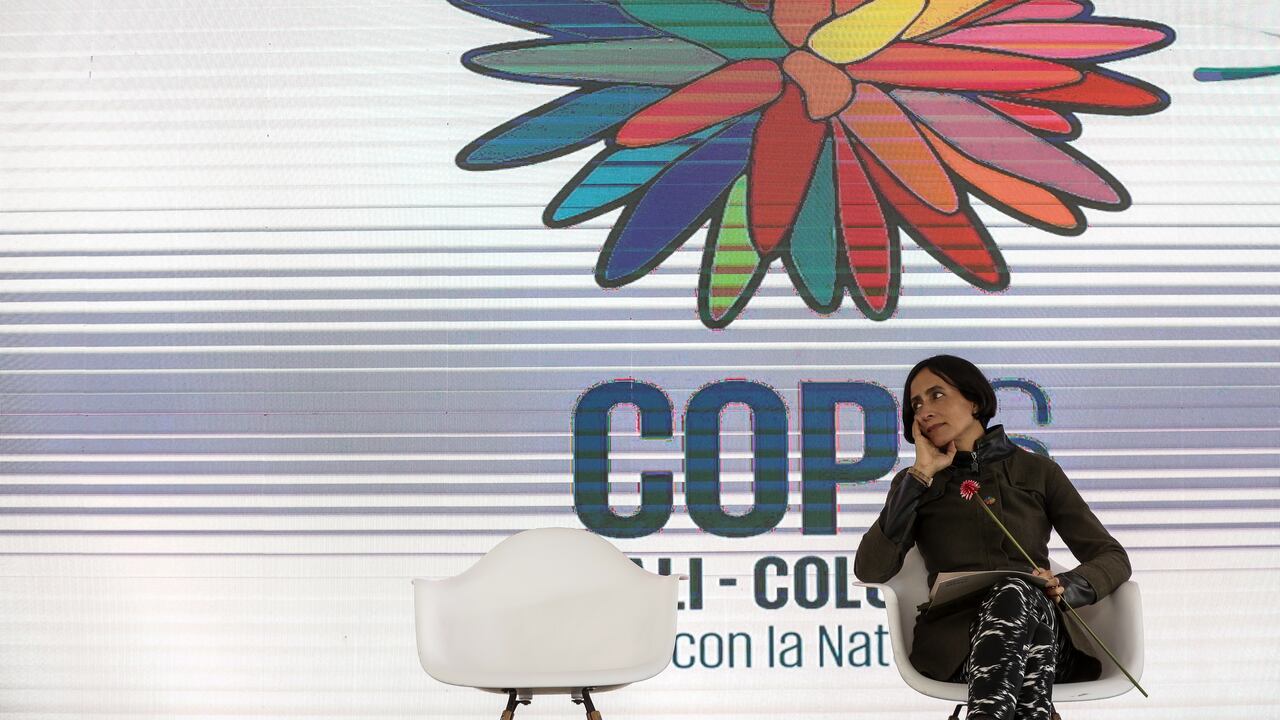 COP 16