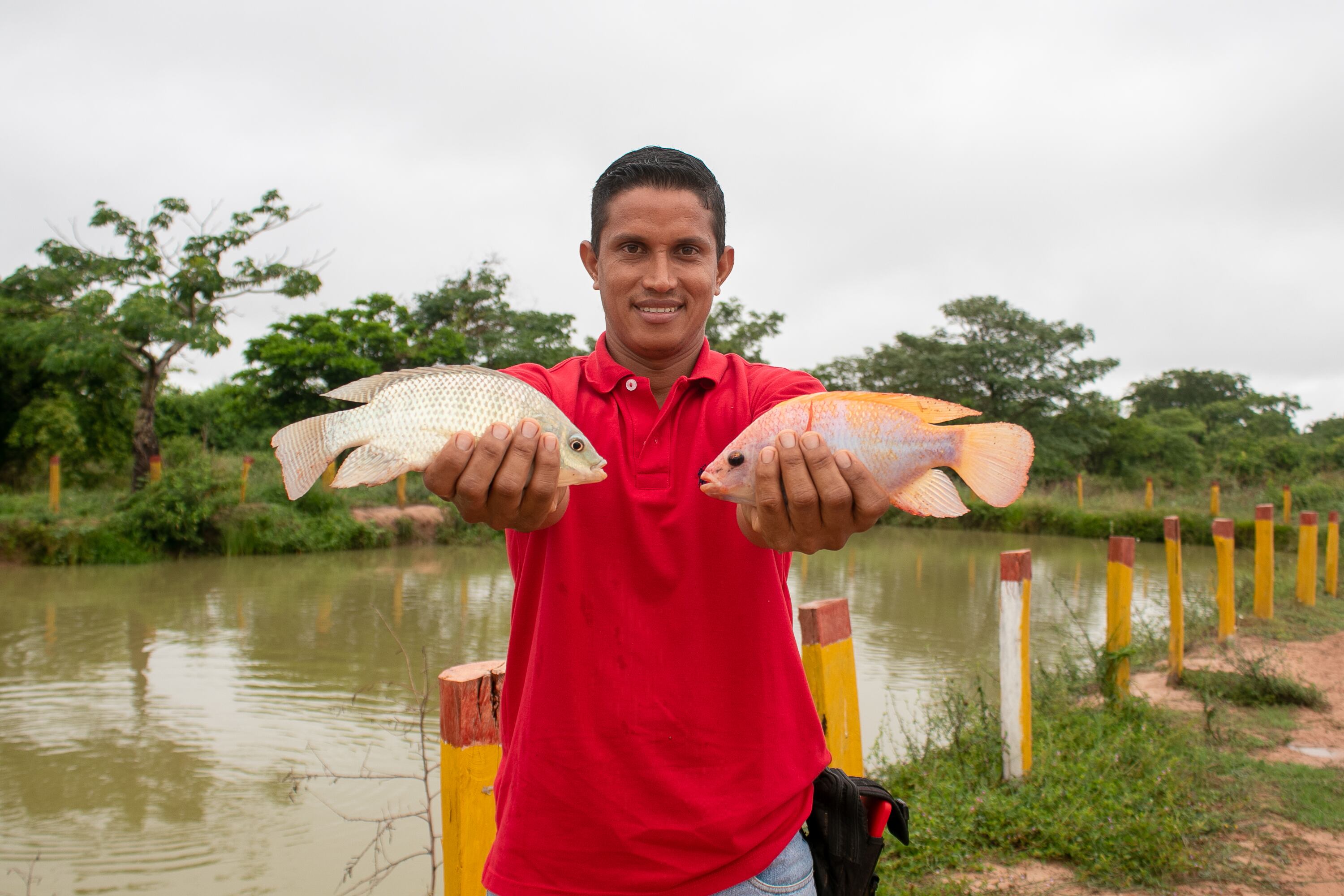 Más de 300 productores locales han sido beneficiados por la veeduría de alimentos agrícolas que lidera Drummond.