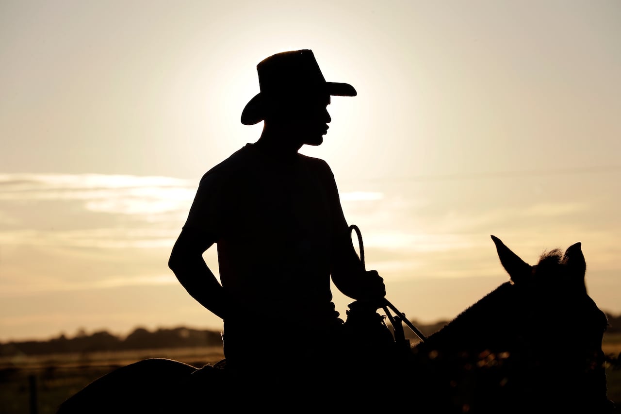 Gestores culturales, artistas e investigadores de la región buscan defender la diversidad cultural, pues han aparecido nuevas manifestaciones para expresar la identidad llanera, que también son válidas.