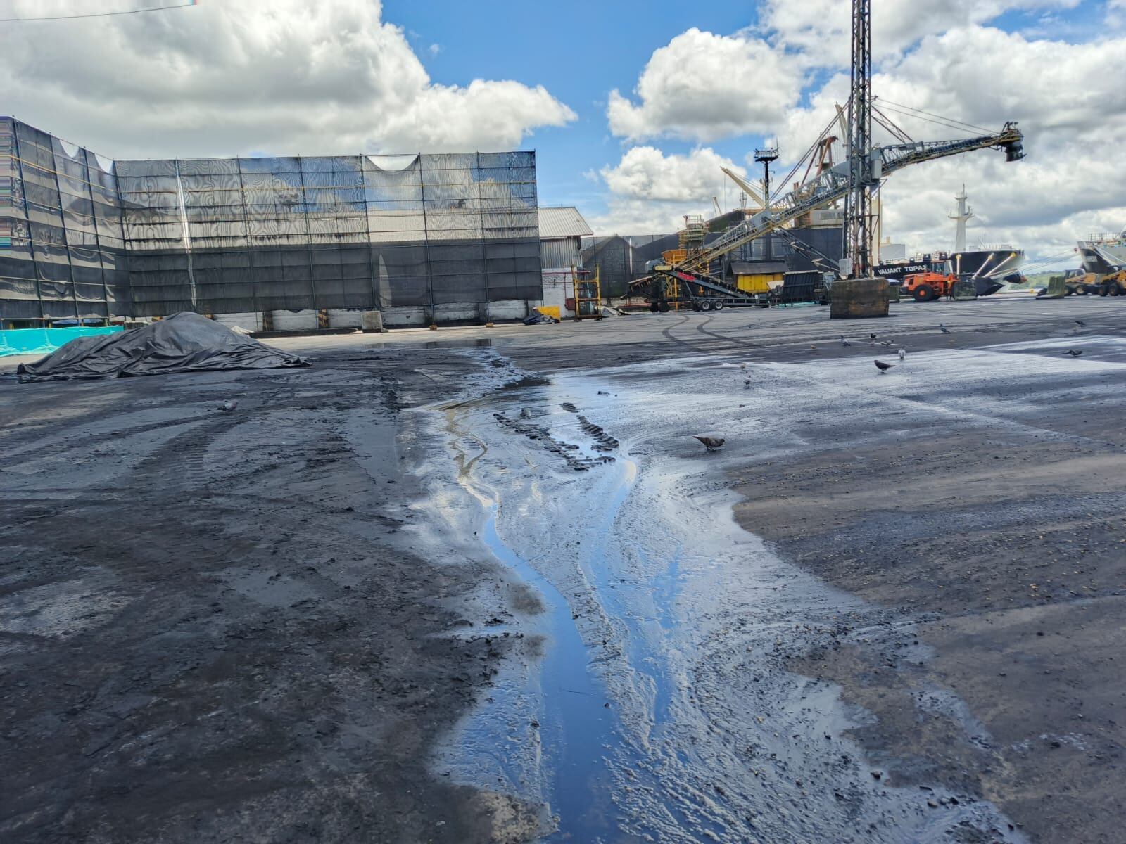 El ANLA tomó la decisión por los impactos ambientales que se estaban generando en el Muelle 13.