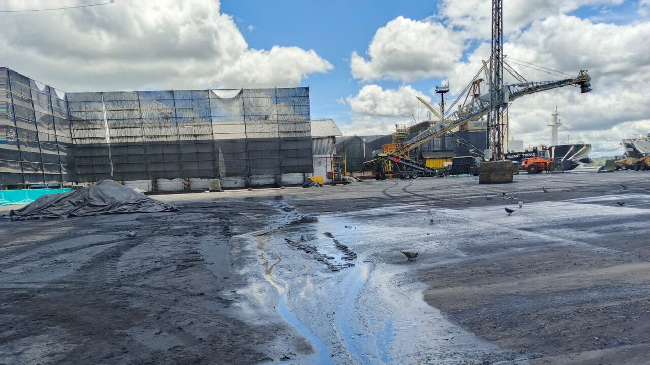 El ANLA tomó la decisión por los impactos ambientales que se estaban generando en el Muelle 13.