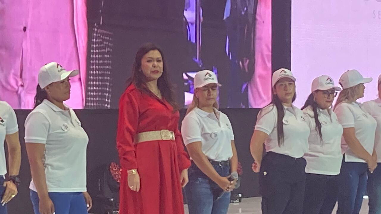 Nidia Hernández, presidenta de Colfecar