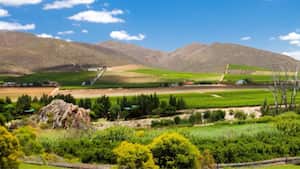 Suráfrica, una y mil razones para conocerla