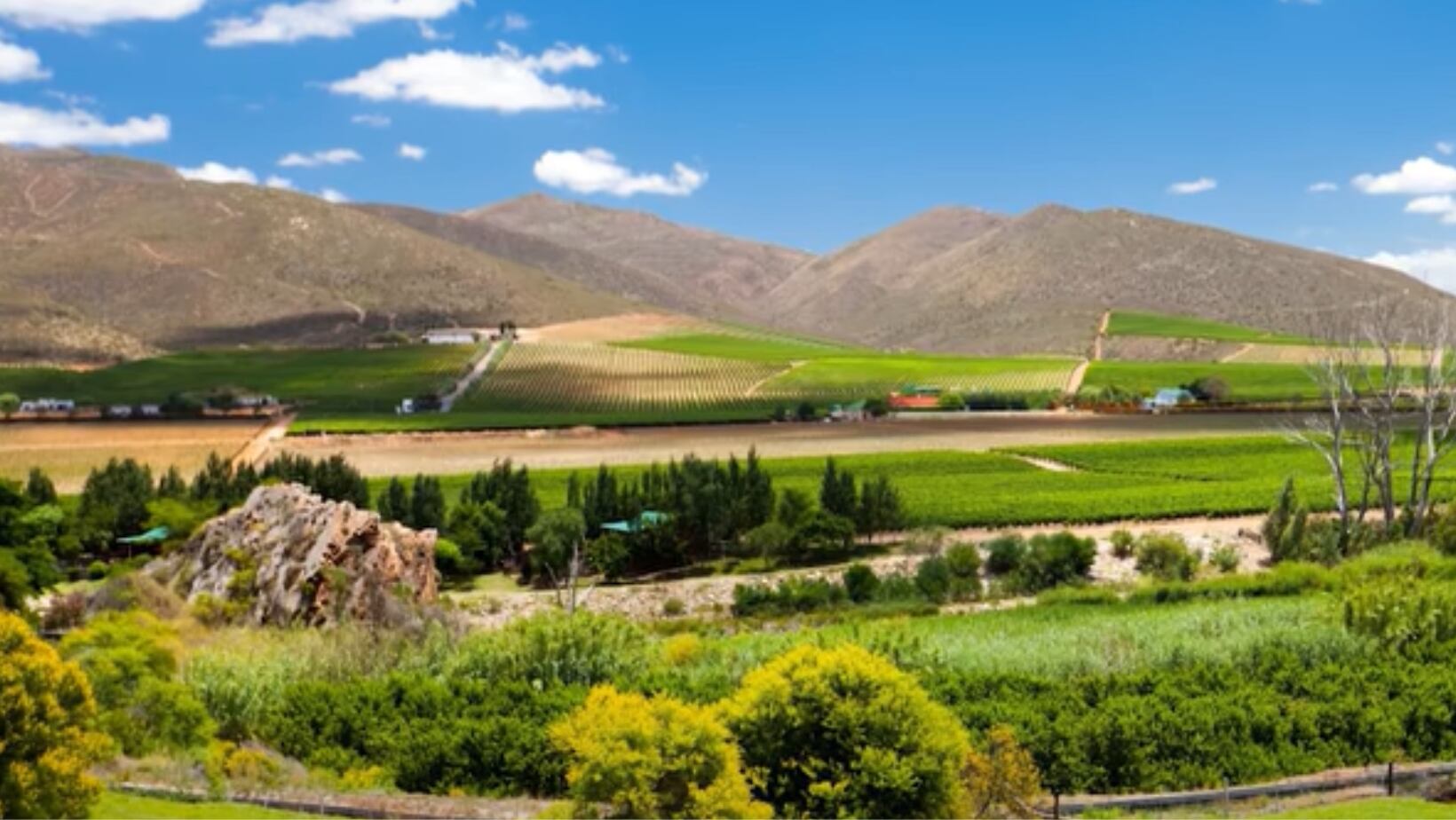 Suráfrica, una y mil razones para conocerla