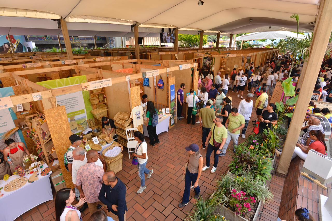 Emprendimientos verdes en la Plazoleta San Francisco