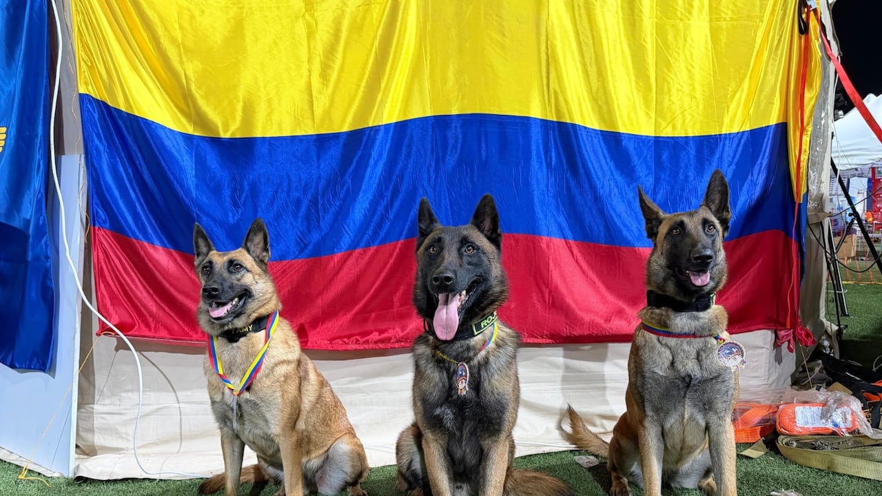 Candy, Rojo, Tamy y Dastan, integrantes del equipo USARCOL-1
