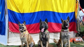 Candy, Rojo, Tamy y Dastan, integrantes del equipo USARCOL-1