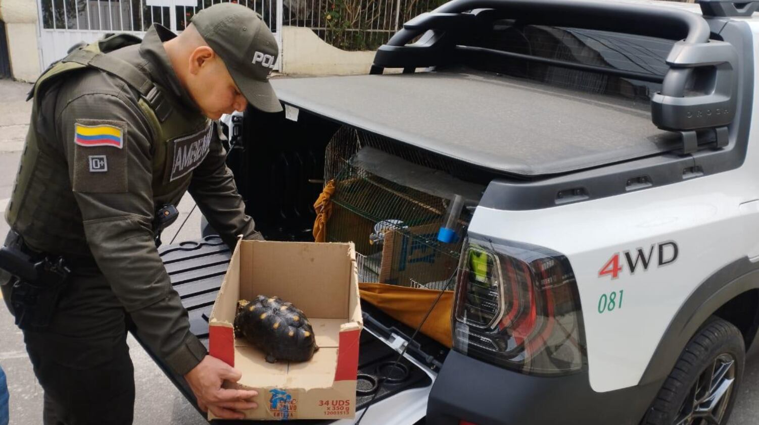 Los operativos fueron en las localidades de Usme, Rafael Uribe Uribe y Antonio Nariño.