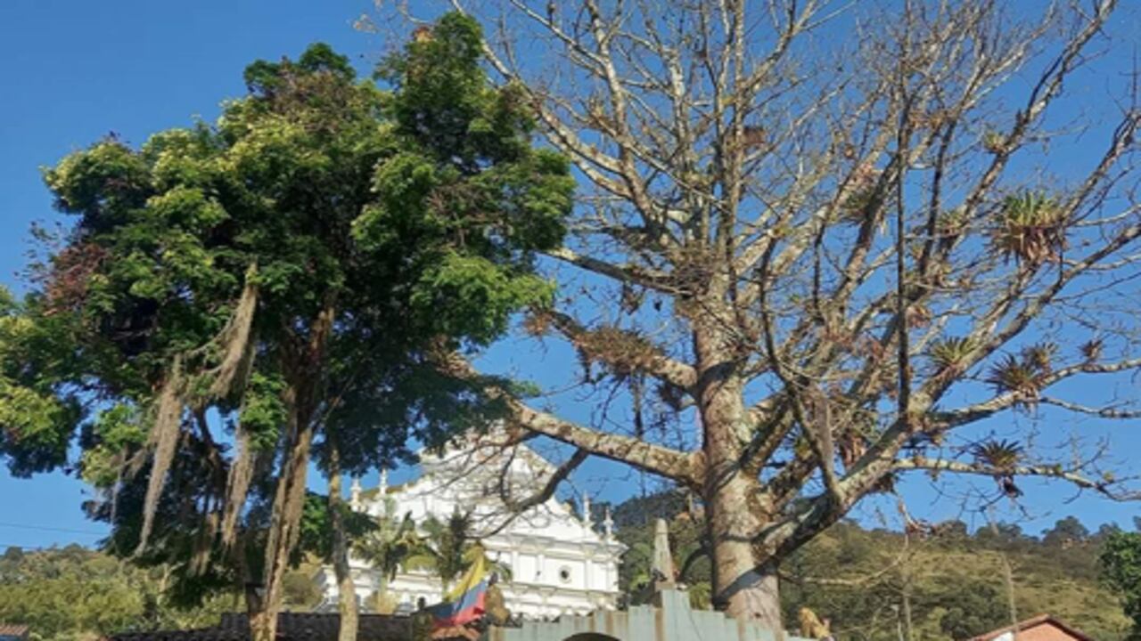 Este municipio antioqueño se caracteriza por su belleza dada por las montañas y ríos.