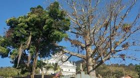 Angostura, Antioquia