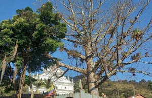 Angostura, Antioquia