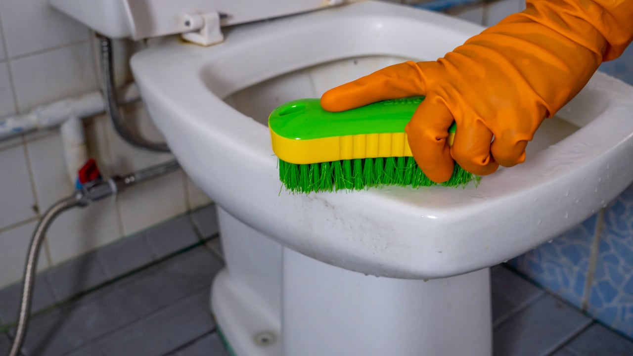 Los productos caseros con que se puede lavar el inodoro.