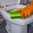 Los productos caseros con que se puede lavar el inodoro.