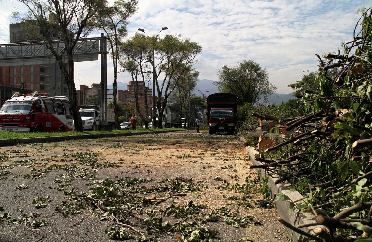 Foto: Pablo Andrés Monsalve Mesa.