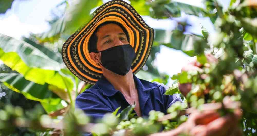 Hay un potencial de 433 productos más para un total de 677 productos que Colombia puede vender a ese país.