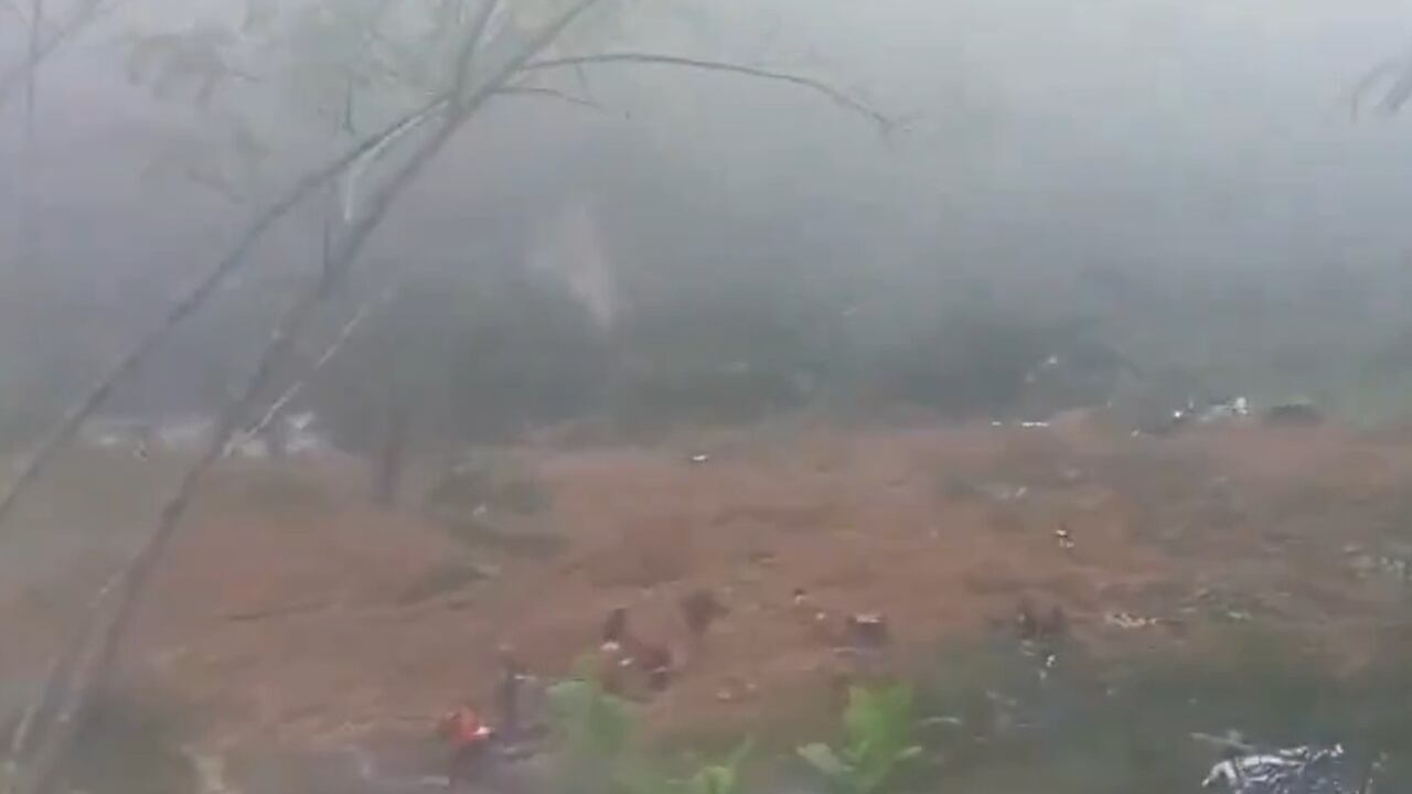 Los organismos de emergencia se encuentran atendiendo la emergencia.