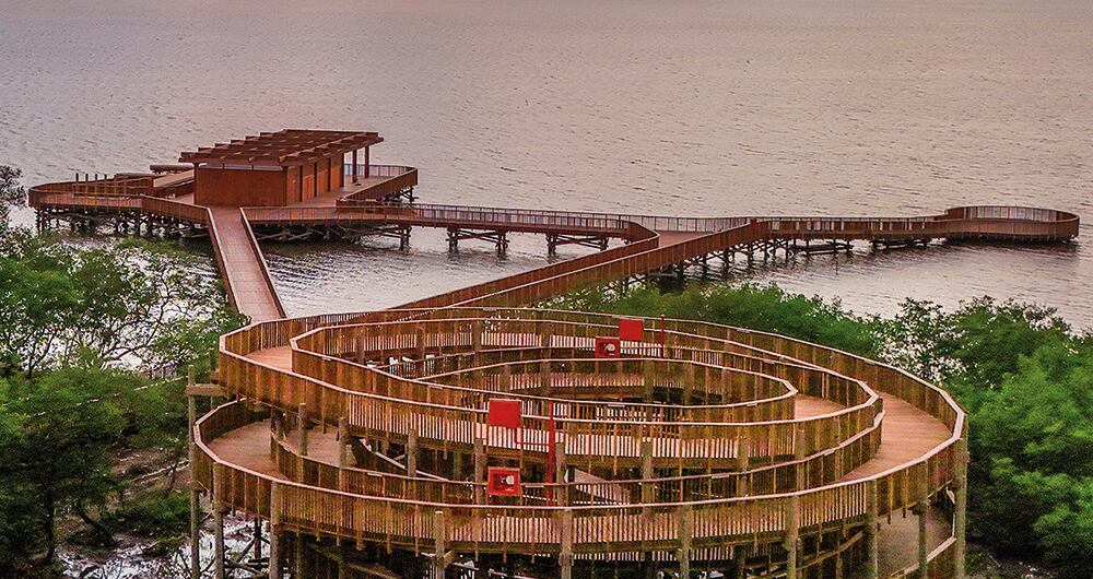 El Ecoparque Ciénaga de Mallorquín le permite a los turistas interactuar con el ecosistema biodiverso de la región.