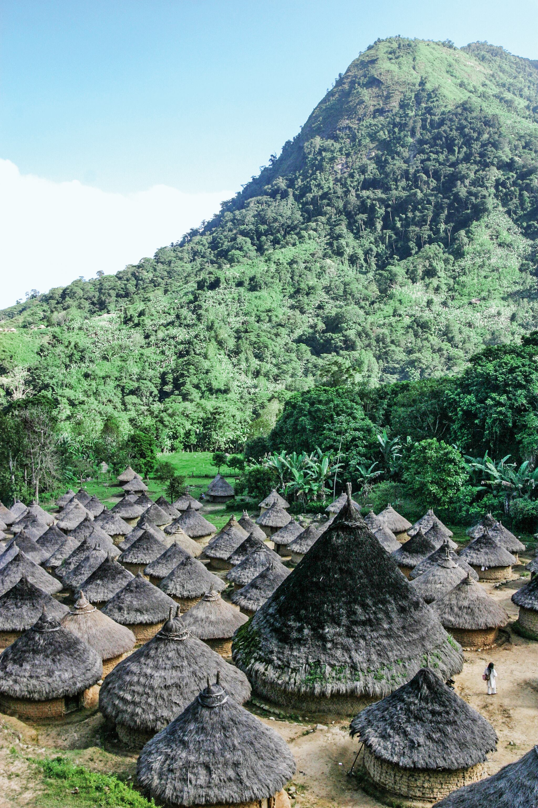 La compañía se ha propuesto sembrar 700.000 árboles en la Sierra Nevada para capturar cerca de 14.000 toneladas de CO2.