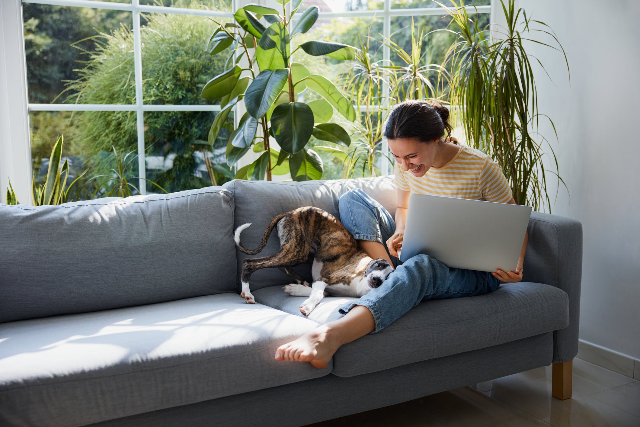 Consejos para hacer home office en una casa donde hay una mascota