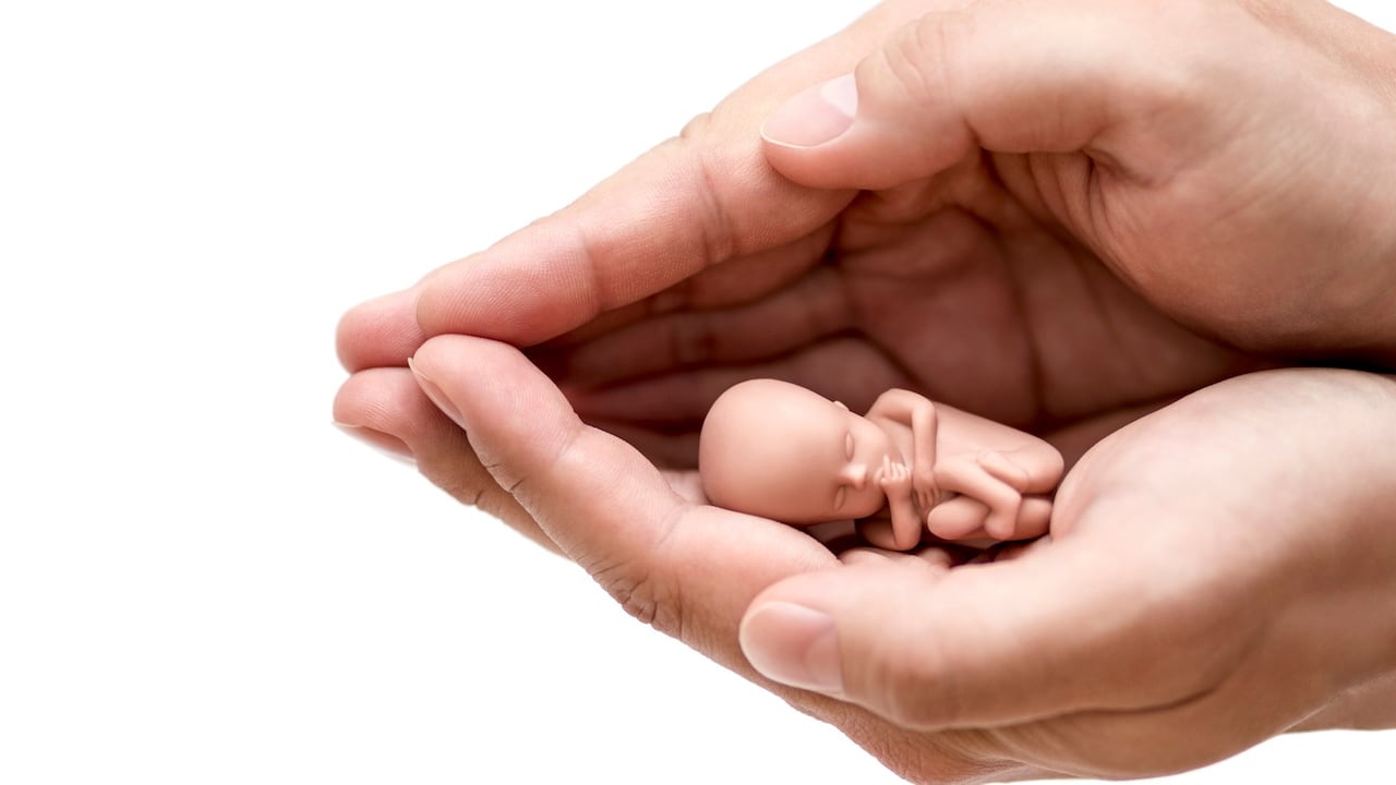 Aborto, Interrupción Voluntaria del Embarazo, imagen de referencia