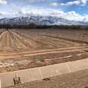 Un canal de riego vacío se alinea en una granja de árboles en Corrales, Nuevo México, mientras la nieve cubre las montañas Sandia al fondo. Las tormentas de lluvia se volvieron más erráticas y las sequías mucho más prolongadas en la mayor parte del oeste de EE. UU. (Foto AP / Susan Montoya Bryan, archivo)
