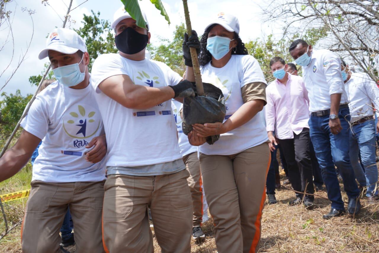 ‘Revive’, es la iniciativa para que la población carcelaria colombiana trabaje en la plantación de árboles.