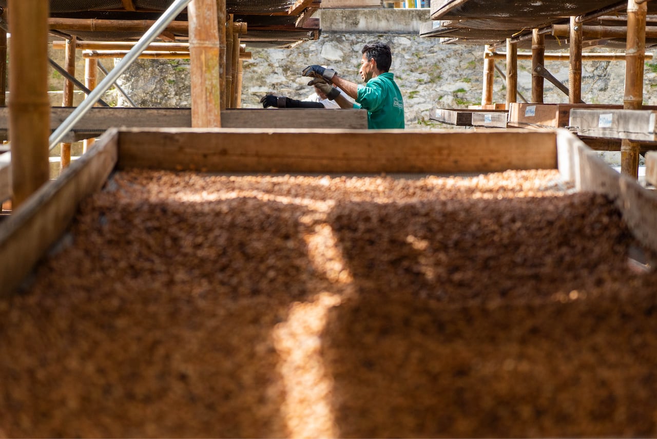 Reserva natural Atinkana