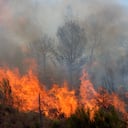 Conozca las razones que hay detrás de los incendios forestales, una situación que mantiene en alerta a las autoridades.