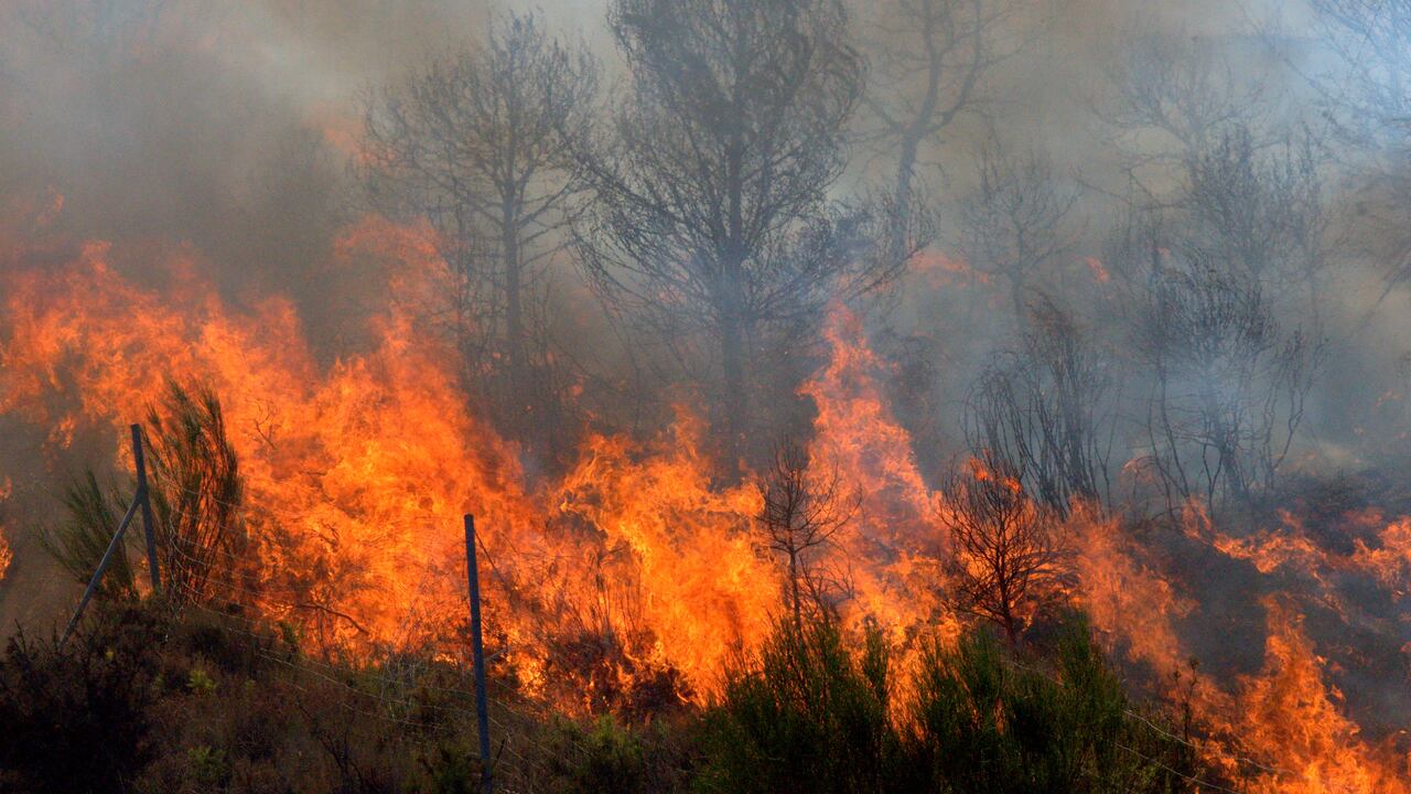 Conozca las razones que hay detrás de los incendios forestales, una situación que mantiene en alerta a las autoridades.