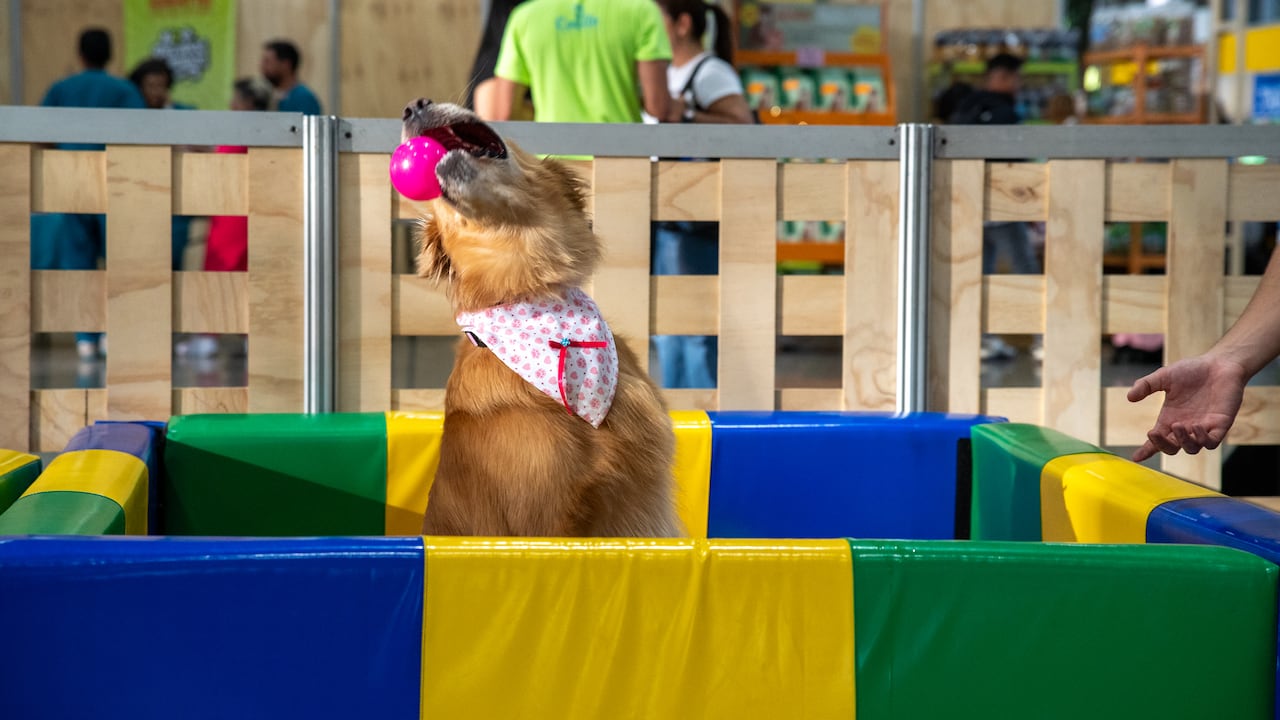 Durante la jornada se adelantarán campamentos sociales y jornadas de adopción de perros y gatos, replicando los programas de vacunación y protección animal desarrollados por la franquicia ferial.