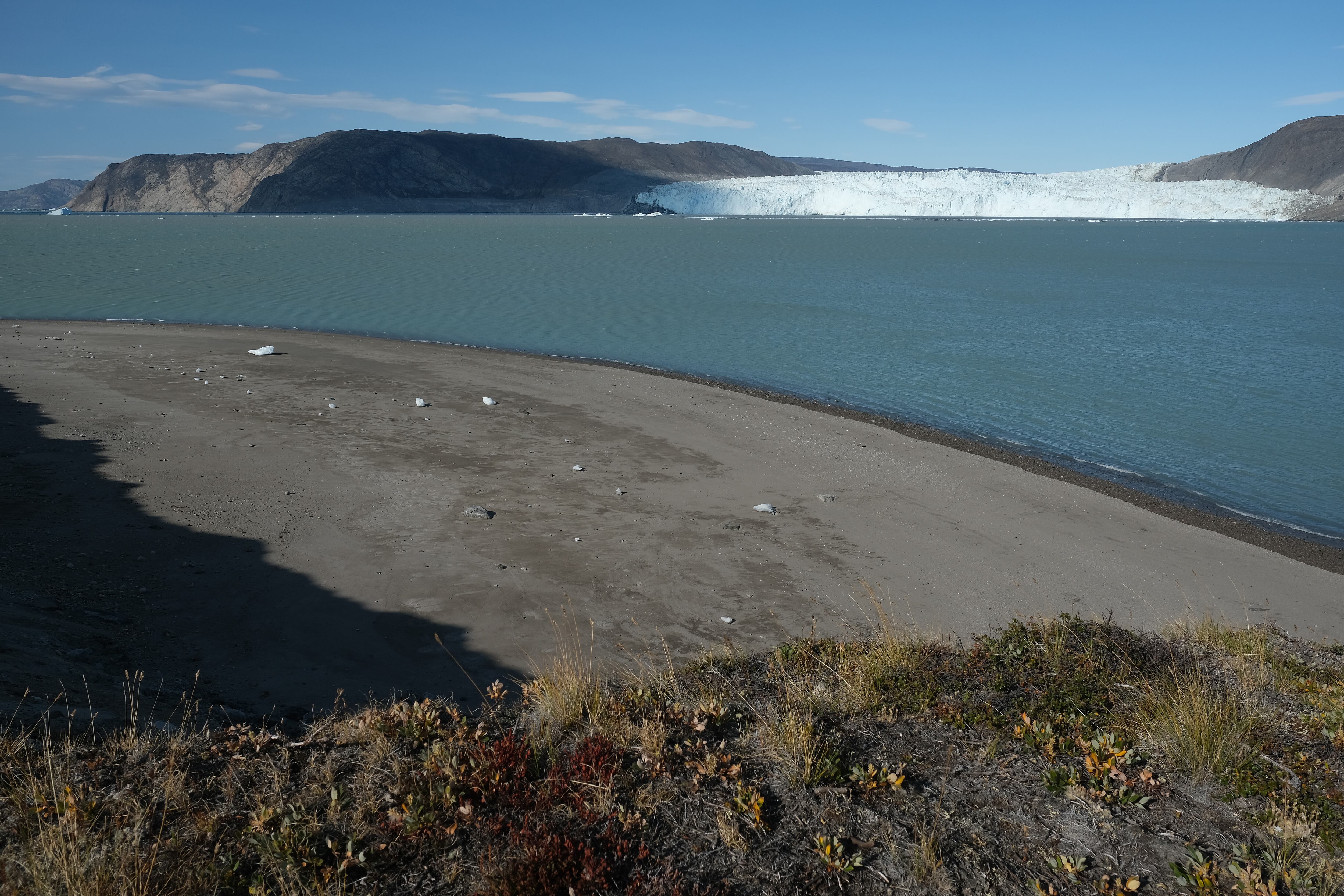 El hielo se encuentra en una playa barrida por los tsunamis creados cuando el hielo se desprende del glaciar Eqip Sermia, también llamado glaciar Eqi, visto detrás durante un clima inusualmente cálido el 31 de julio de 2019 en Eqip Sermia, Groenlandia. . Eqip Sermia se encuentra aproximadamente a 350 kilómetros al norte del Círculo Polar Ártico, y si bien el desprendimiento de hielo de su superficie es un proceso natural que se remonta a millones de años, el retroceso del glaciar de unos 3 kilómetros en los últimos 100 años es un fenómeno nuevo. Imagen de referencia