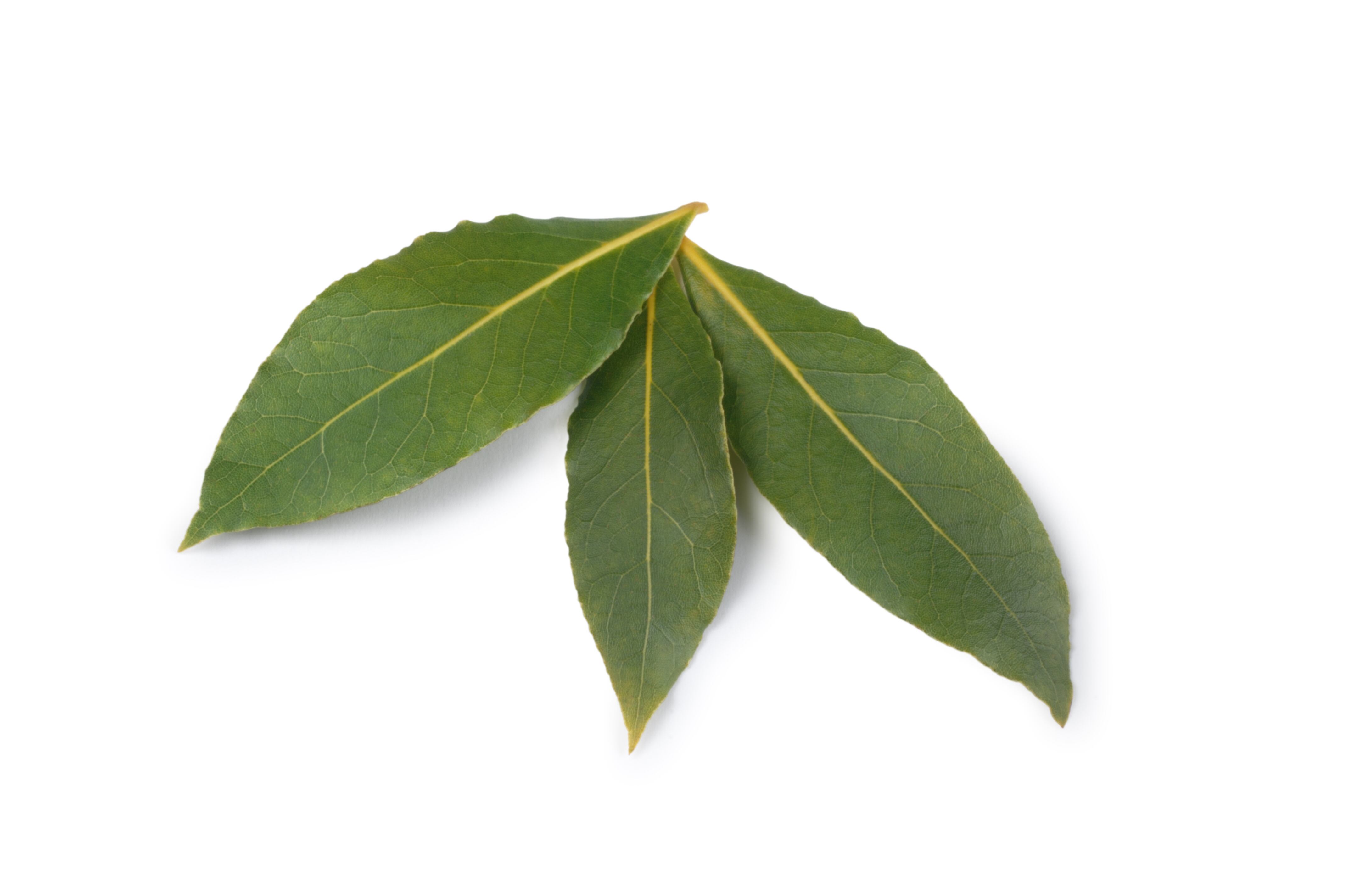 El consumo de laurel puede ser beneficioso para reducir los niveles de azúcar en la sangre.