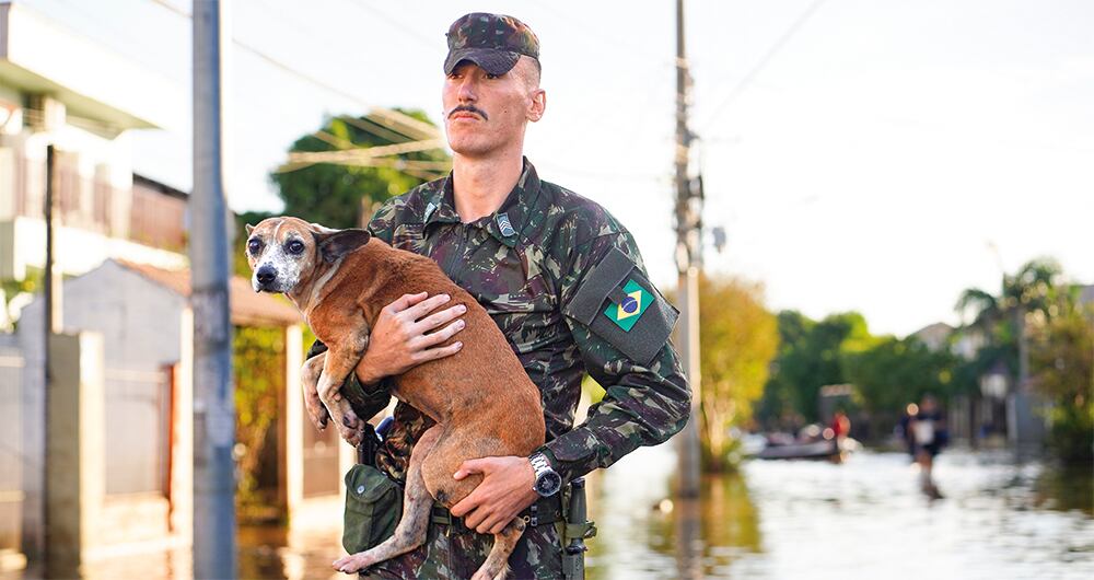 La fuerza pública ayuda a salvar vidas. 