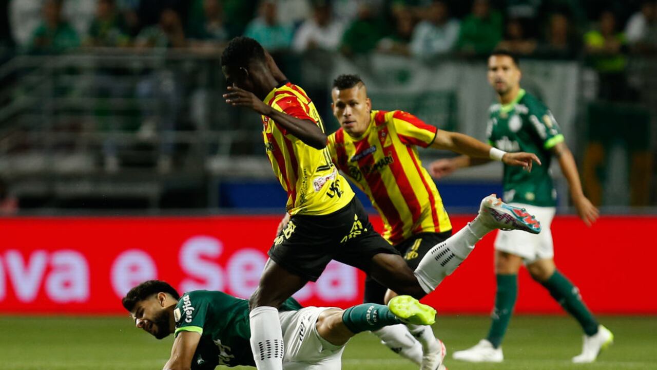 Palmeiras y Deportivo Pereira en la Copa Libertadores