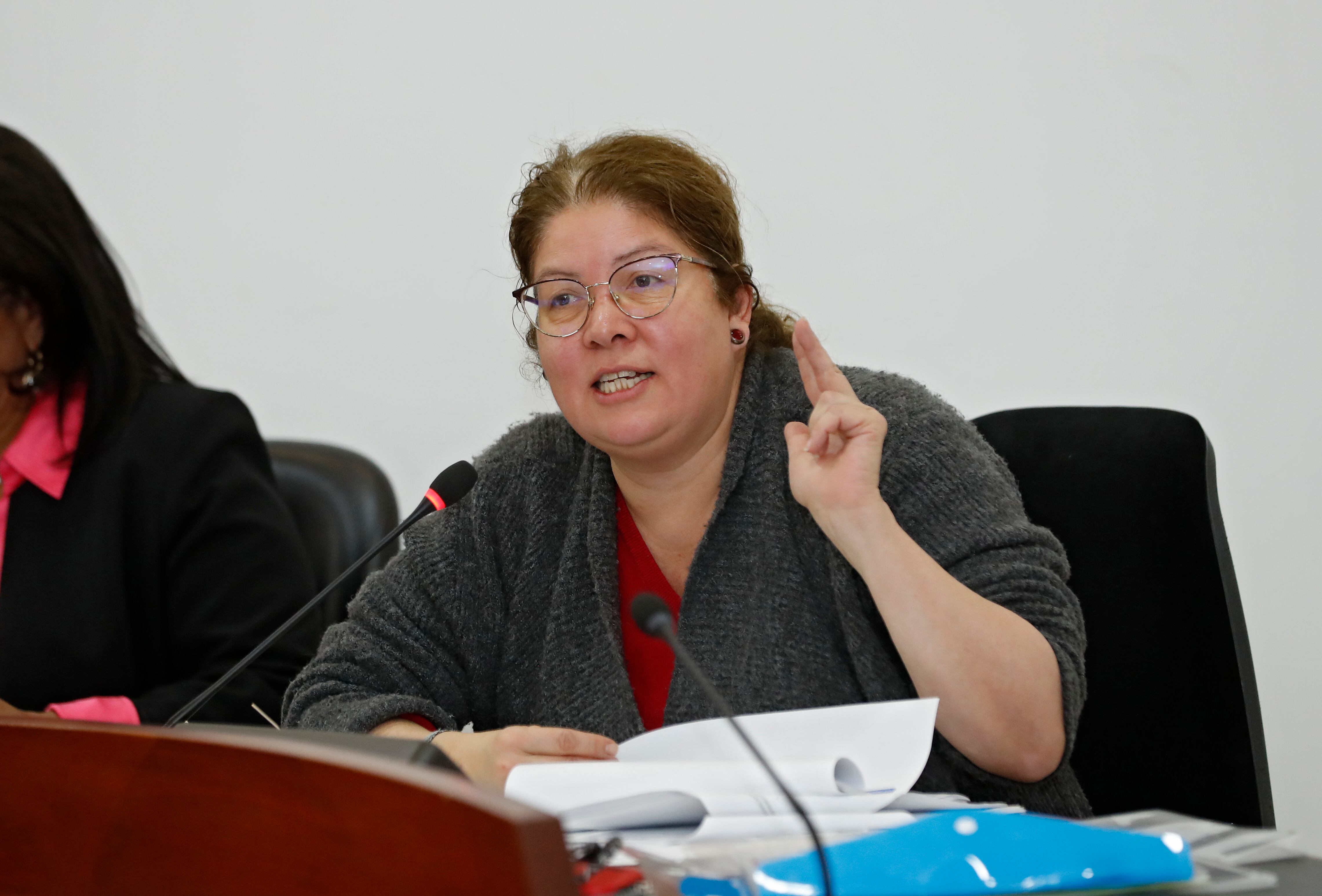 Alejandra Barrios Cabrera Directora Nacional de la Misión de Observación Electoral MOE
Comisión Especial Vigilancia y Seguimiento al Organismo Electoral 
Bogota septiembre 13 del 2023
Foto Guillermo Torres Reina / Semana