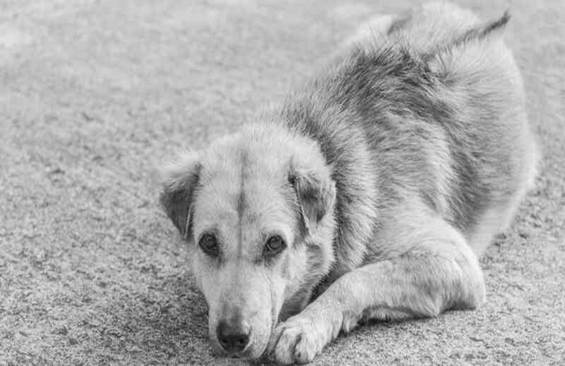 El hombre alcanzó a ser trasladado con vida al hospital, pero falleció por la gravedad de las heridas.