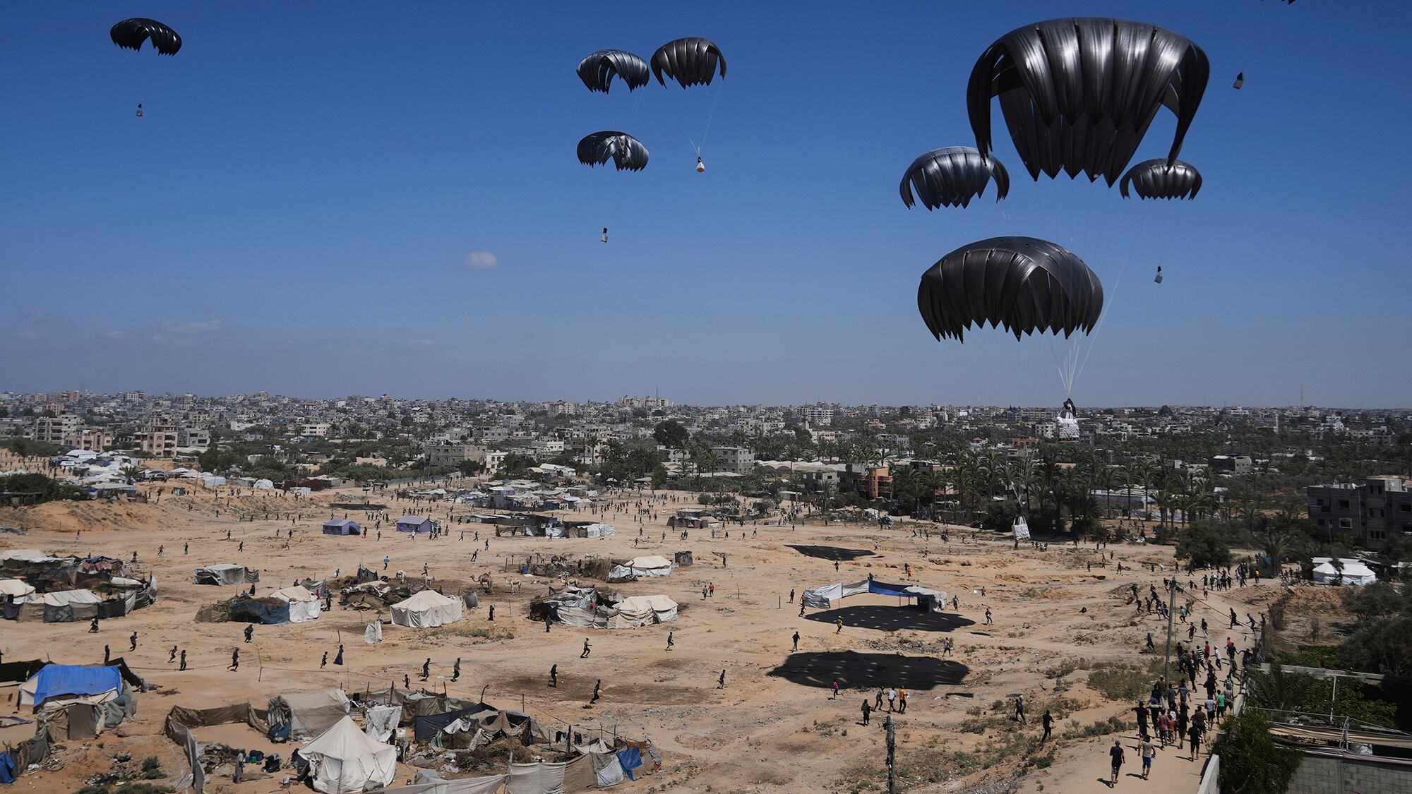 Fotos de la semana 1 agosto