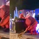 Un perro se robó el show durante una obra de teatro luego de "enfrentarse a un dragón".