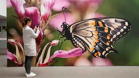 La muestra, disponible hasta diciembre, está en la sala de exposiciones temporales de la Biblioteca Luis Ángel Arango. La foto que está en la exposición es de Catalina Londoño Carter. Foto: Guillermo Torres Reina.