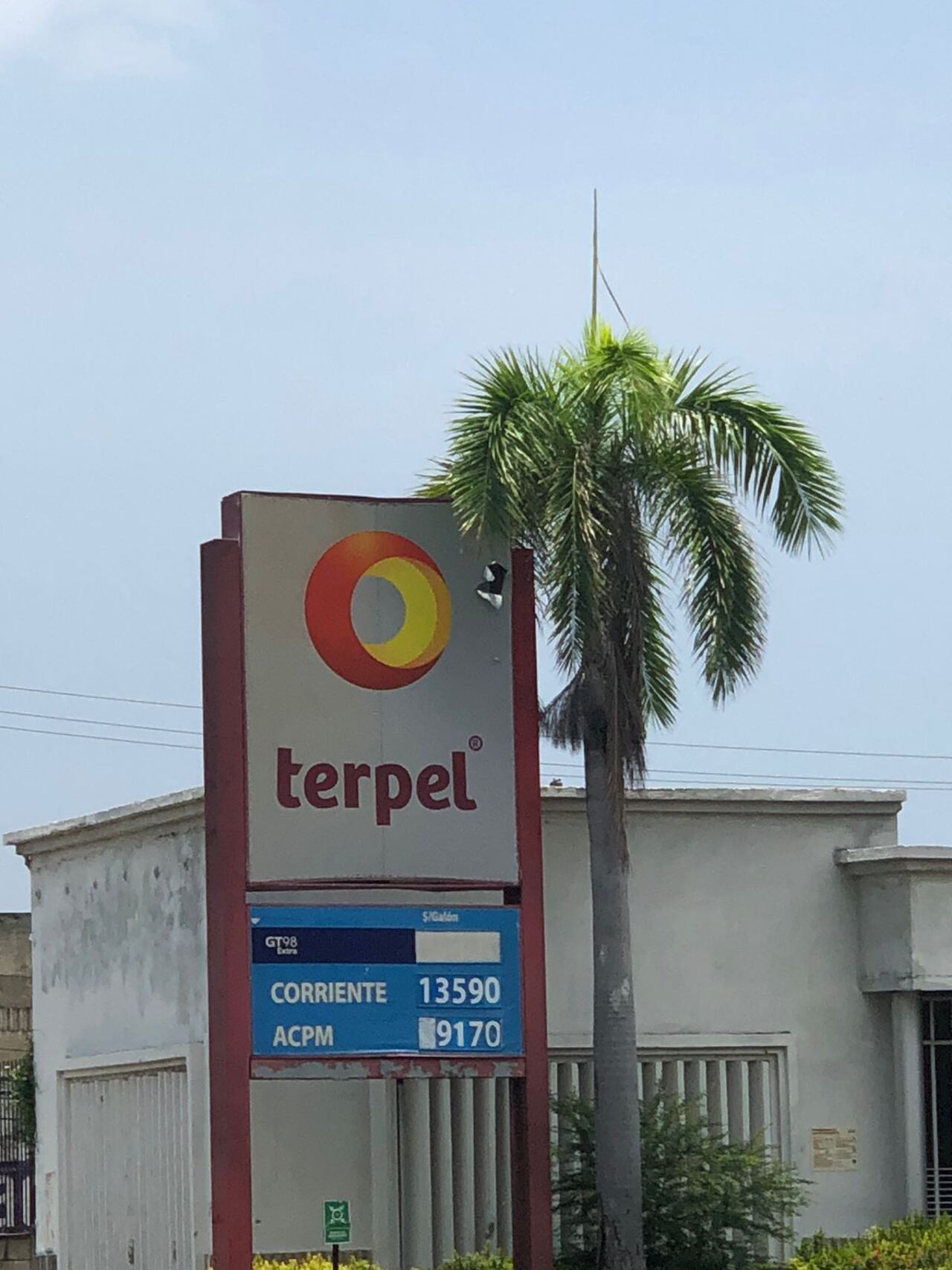 Estación Terpel de El Líbano