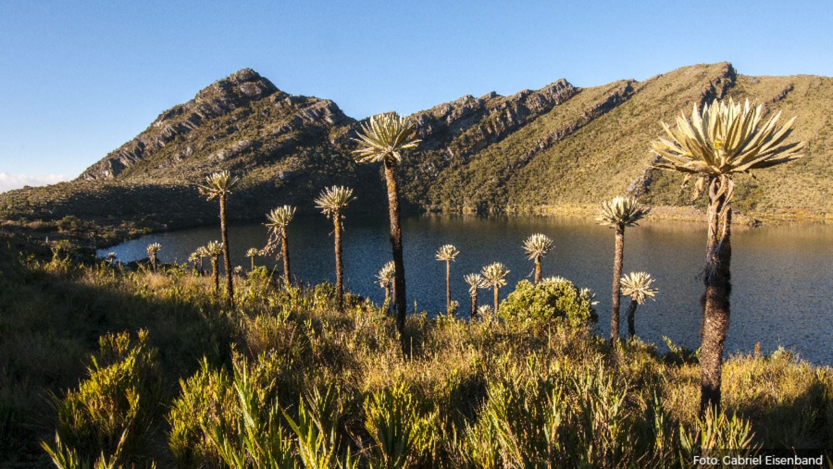 Chingaza: ¿cómo llegar desde Bogotá y qué hacer en este parque natural?