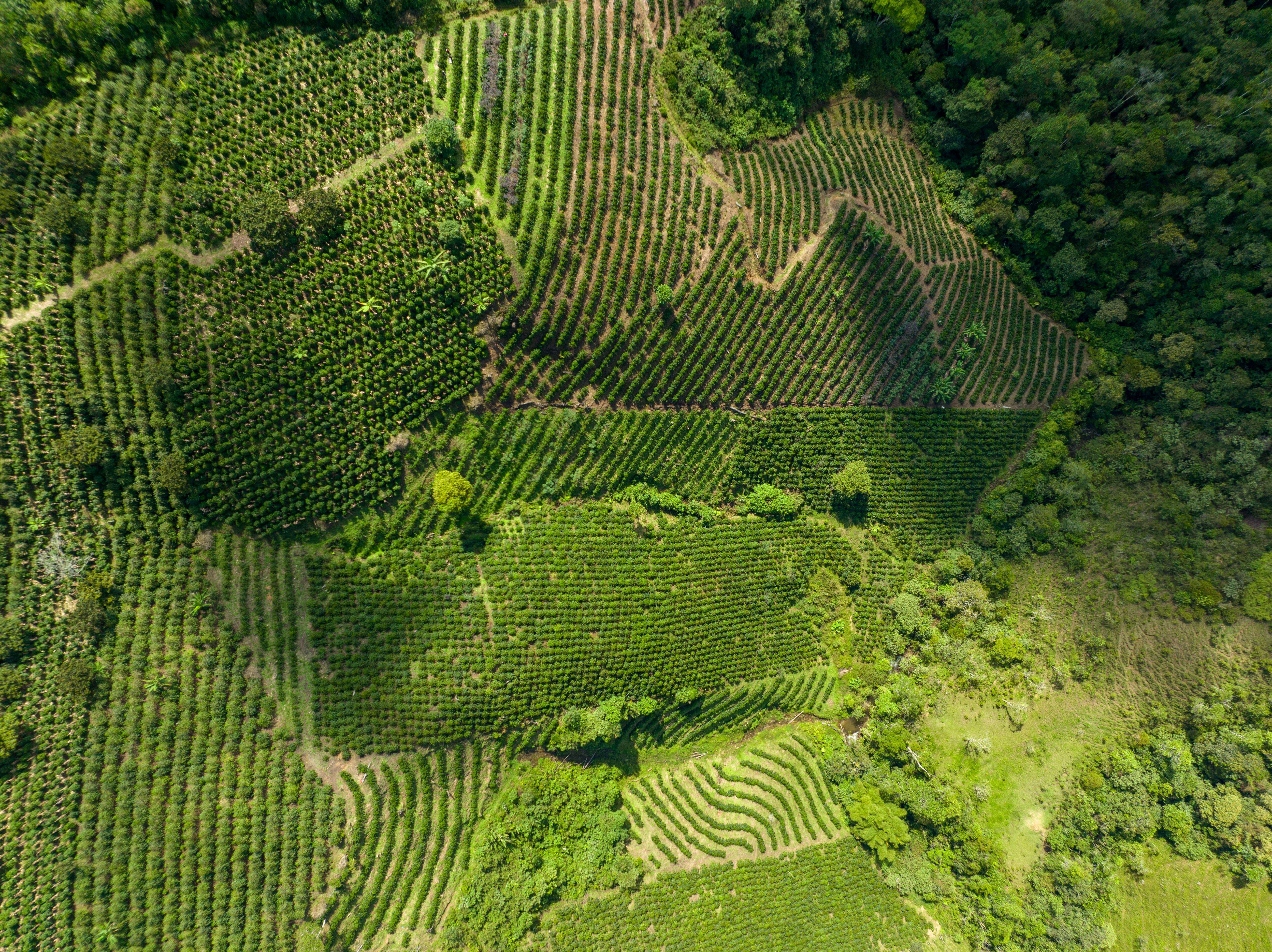 Las iniciativas de sostenibilidad de Matiz se basan en 3 dimensiones, que abarcan, prosperidad, planeta y personas.