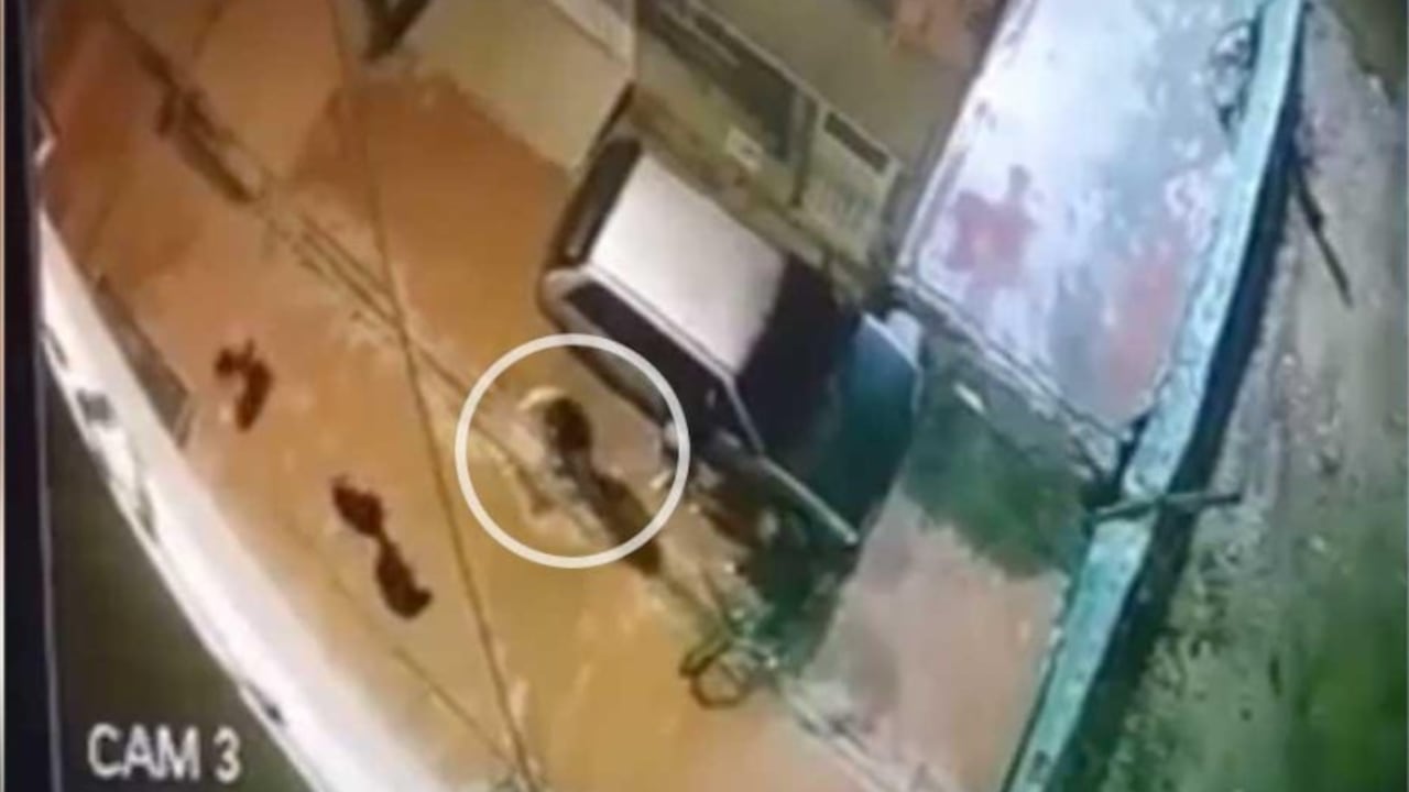 Capturan al presunto responsable de disparar a una niña de 15 años por robarle el celular