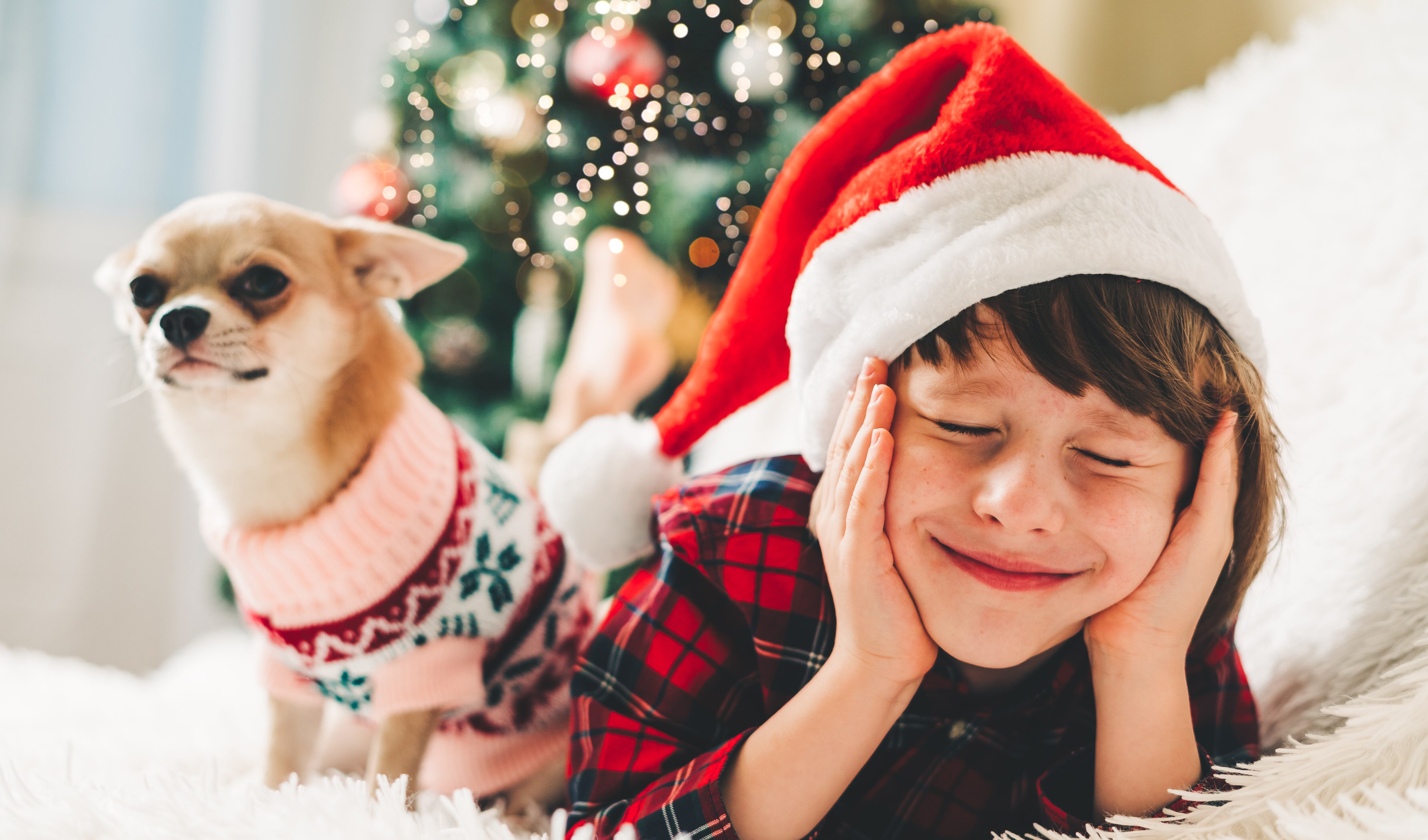 VISIT THE USA / NO USAR - USO EXCLUSIVO COMERCIAL