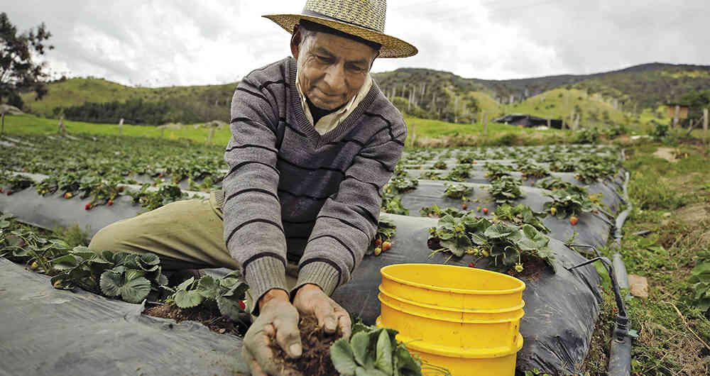 Aunque hoy Colombia cuenta con una buena prestación de los servicios públicos, persisten brechas, especialmente en zonas rurales, que se deben cerrar.