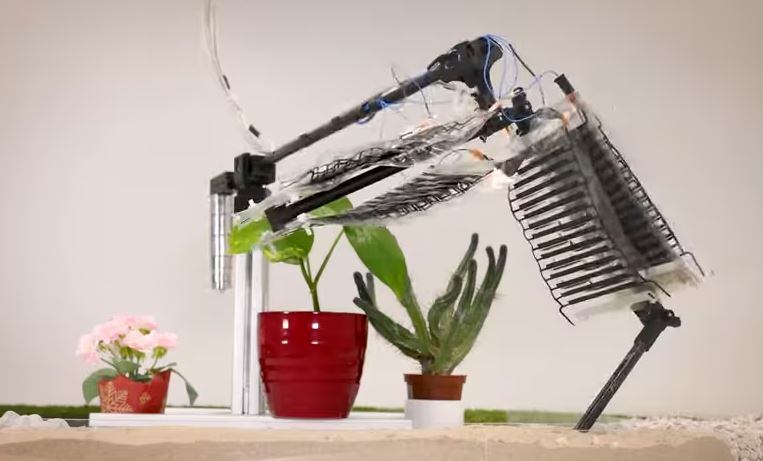 Estos músculos se asemejan a pequeñas bolsas de congelación, unidas a los huesos metálicos de la pierna robótica